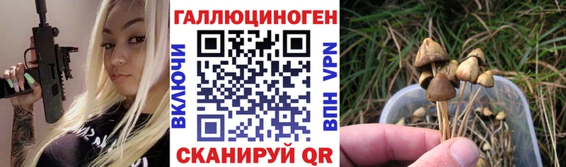 Купить закладки  Татарск  Псилоцибиновые грибы Magic Shrooms 