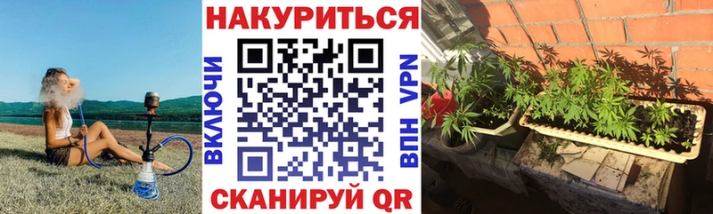 Бошки марихуана AK-47 Татарск